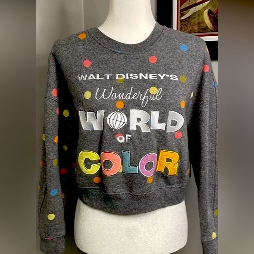2023 DISNEY PARKS WONDERFUL WORLD OF COLOR SWEATSHIRT Large  SEMI CROP NWOT